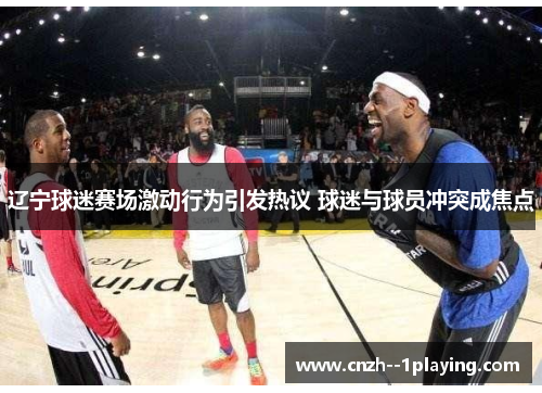 辽宁球迷赛场激动行为引发热议 球迷与球员冲突成焦点