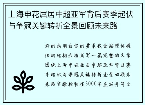 上海申花屈居中超亚军背后赛季起伏与争冠关键转折全景回顾未来路